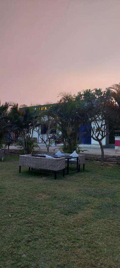 Hotel The Black Leaf Rāipur Exterior foto